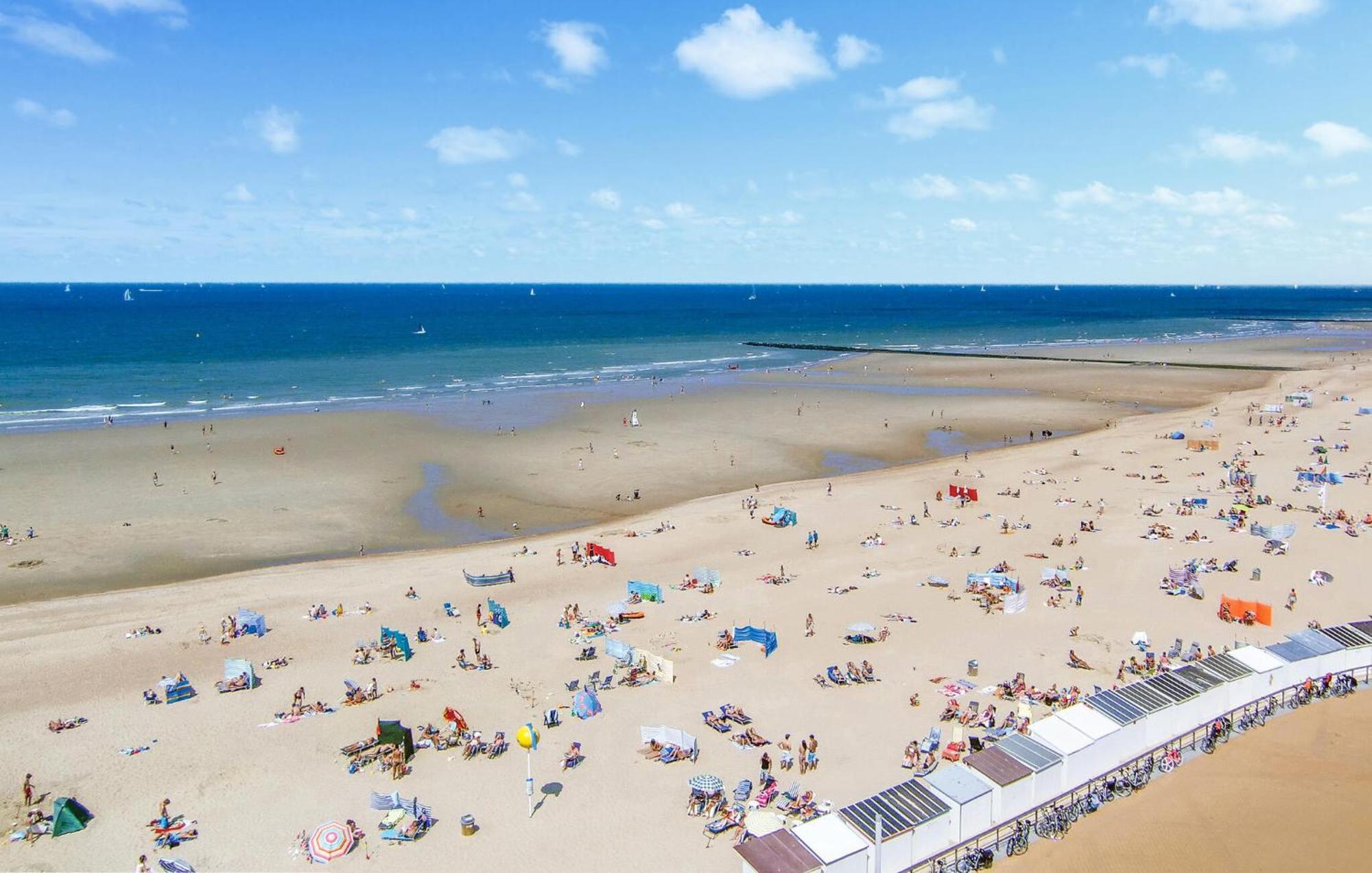 Front In * Oostende